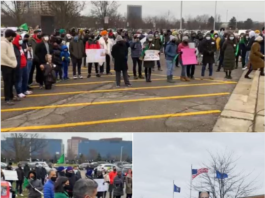 Protest & Car Rally ,In Support of Farmers in India, Troy, Michigan, USA