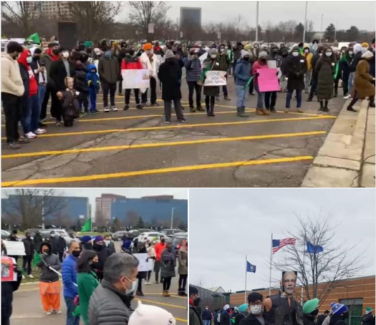 Protest & Car Rally ,In Support of Farmers in India, Troy, Michigan, USA