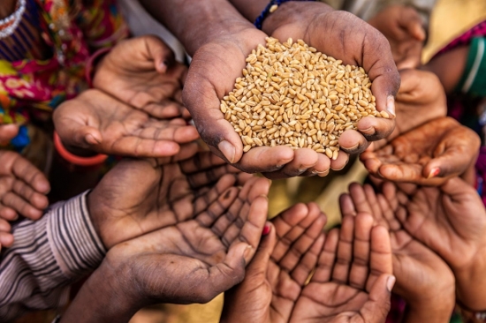 Global-hunger
